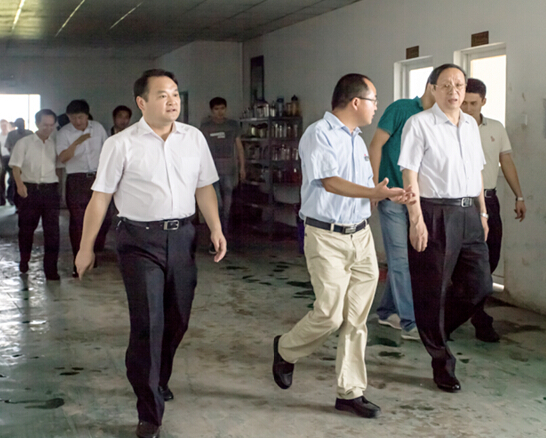 安徽省委副书记、省长王学军莅临安徽hth官网入口视察