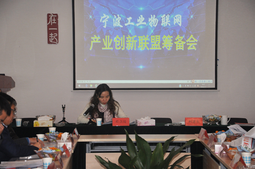 宁波市工业物联网产业创新联盟筹备会顺利召开