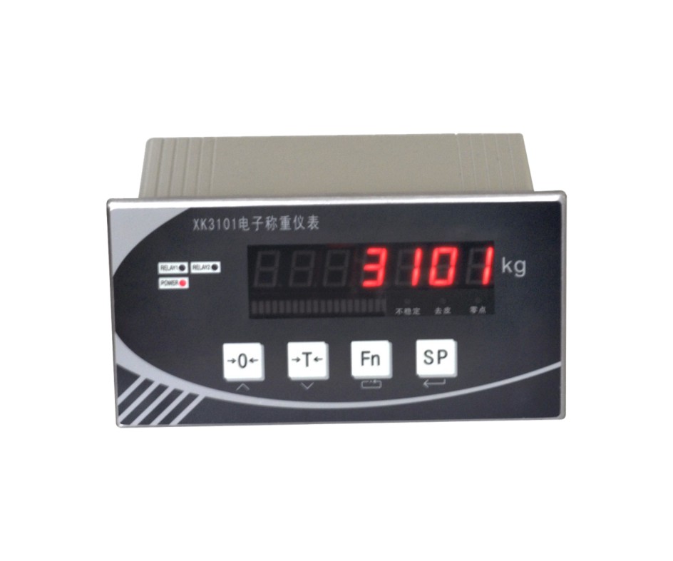 仪表 XK3101-K2+
