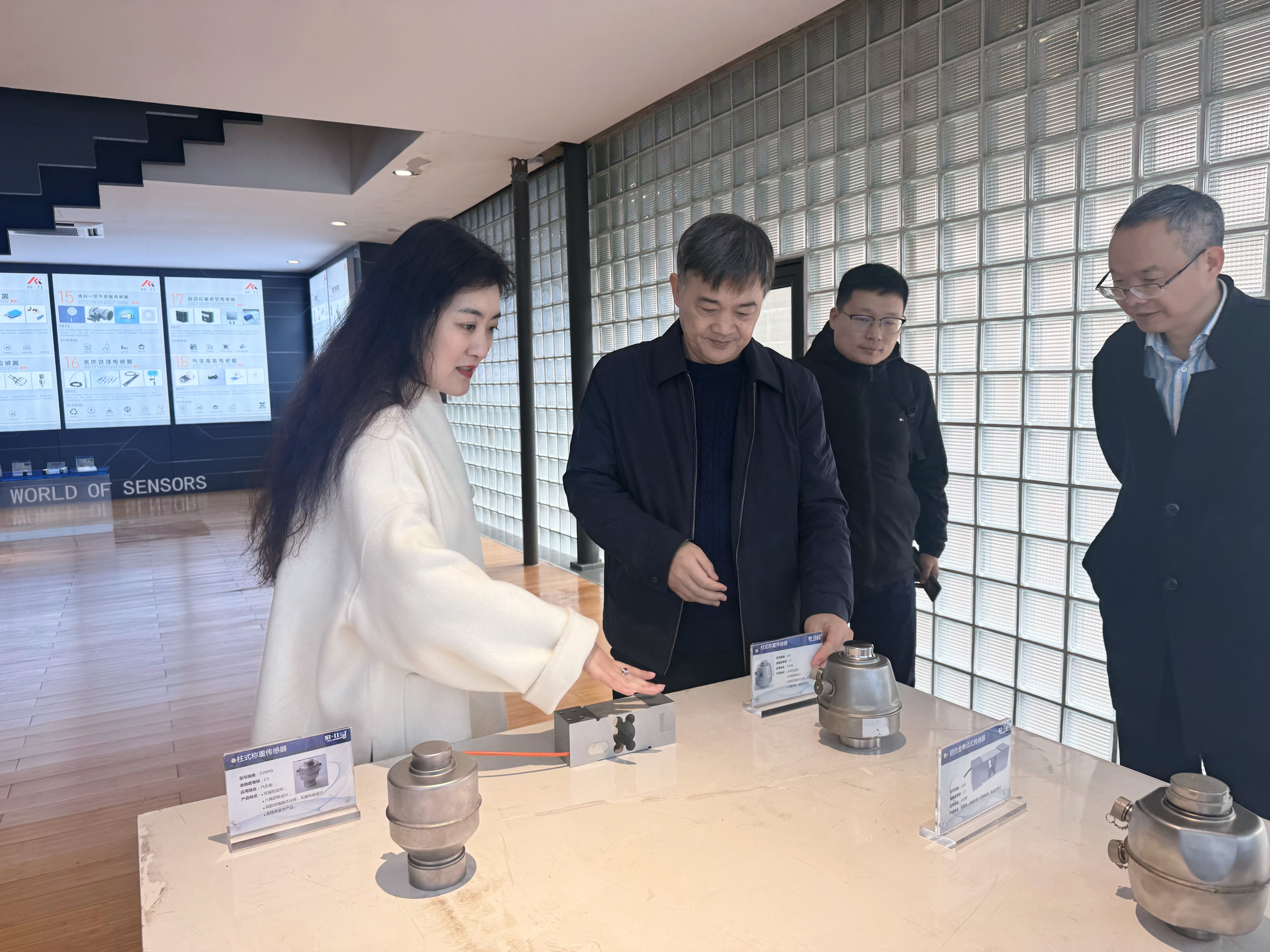 浙江省经信厅高端装备处一级调研员朱涛一行莅临hth官网入口传感考察调研